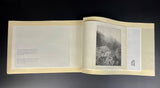 THESE EARTHLY SHORES - Daphne Kotsiani (2025). II edition