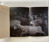 A GEOGRAPHY OF ABANDONMENT - Raymond Meeks (2022)