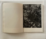 A GEOGRAPHY OF ABANDONMENT - Raymond Meeks (2022)